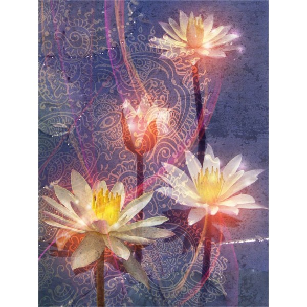 Fiore 5d Diy Kit Diamond Painting Pittura Di Diamante NO4505