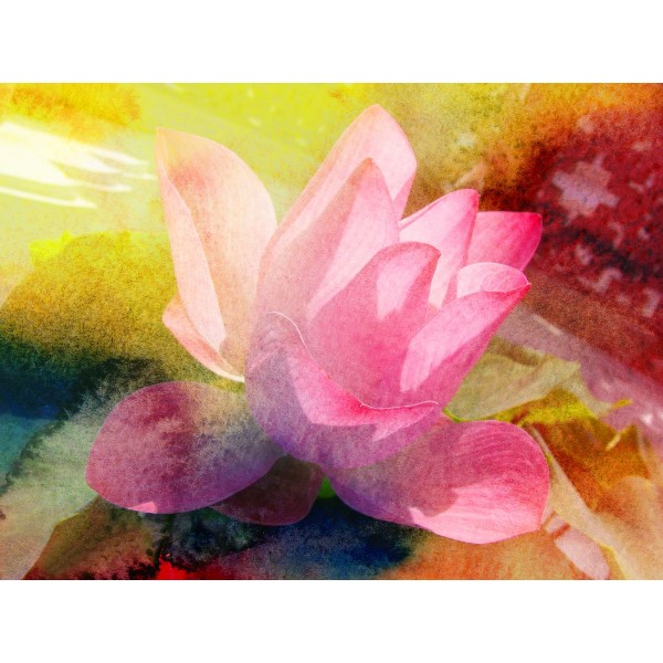 Fiore 5d Diy Kit Diamond Painting Pittura Di Diamante NO4489