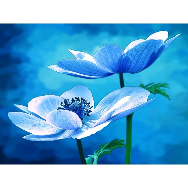 Fiore 5d Diy Kit Diamond Painting Pittura Di Diamante NO4483