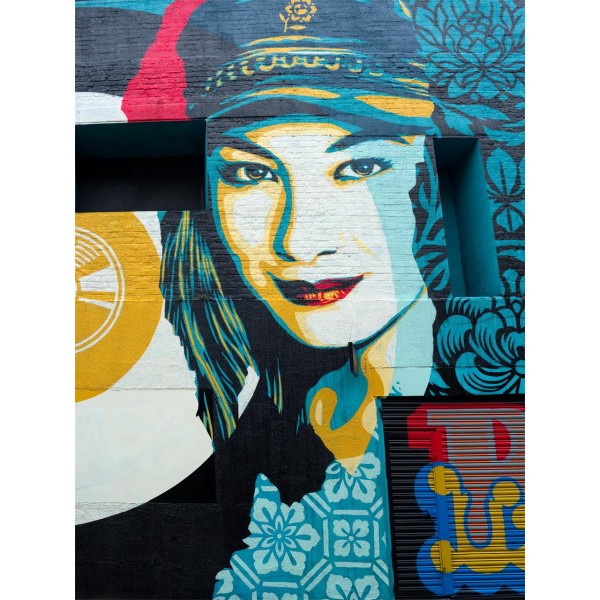 Ritratto 5d Diy Kit Diamond Painting Pittura Di Diamante NO4451