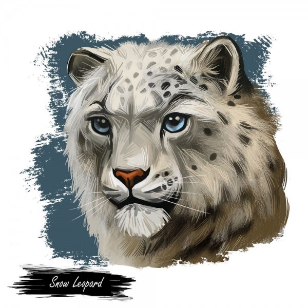 Leopardo 5d Diy Kit Diamond Painting Pittura Di Diamante NO4347