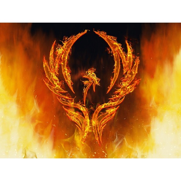 Leopardo 5d Diy Kit Diamond Painting Pittura Di Diamante NO4338