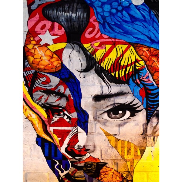 Ritratto 5d Diy Kit Diamond Painting Pittura Di Diamante NO4249