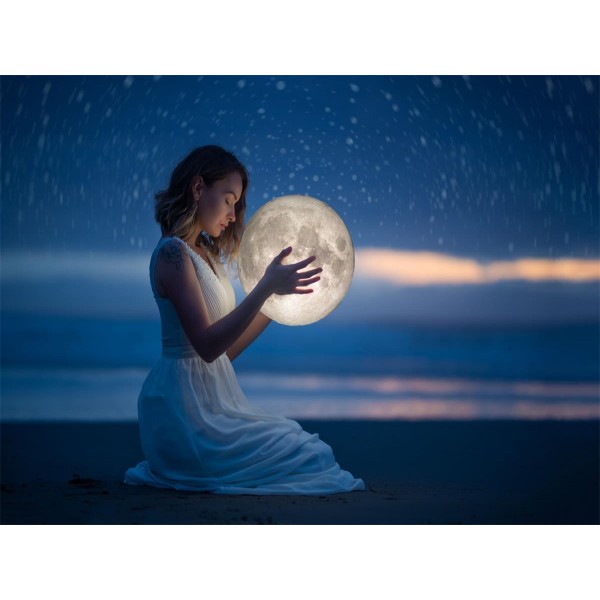 Ritratto 5d Diy Kit Diamond Painting Pittura Di Diamante NO4244