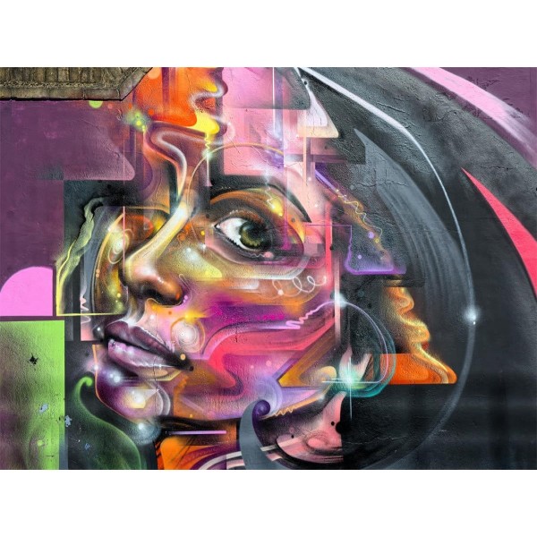 Ritratto 5d Diy Kit Diamond Painting Pittura Di Diamante NO4232