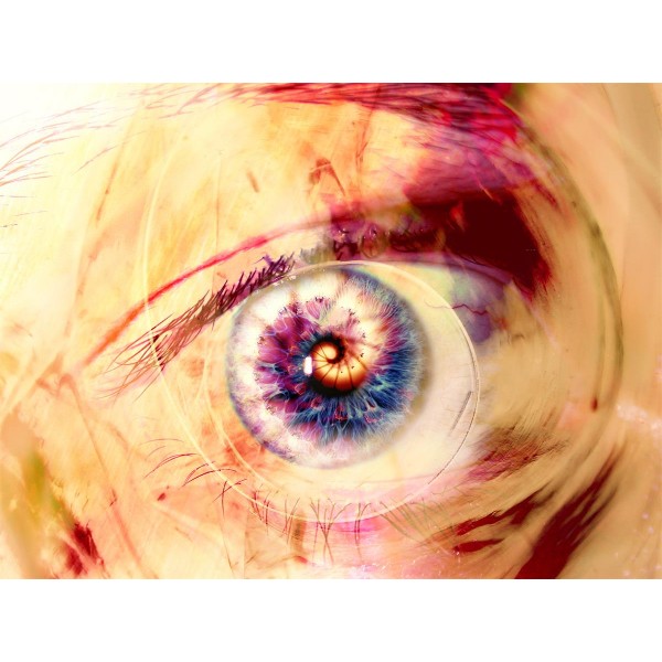 Ritratto 5d Diy Kit Diamond Painting Pittura Di Diamante NO4217