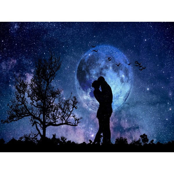 Ritratto 5d Diy Kit Diamond Painting Pittura Di Diamante NO4133