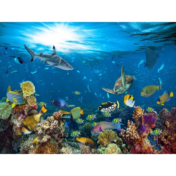 Pesce 5d Diy Kit Diamond Painting Pittura Di Diamante NO4009