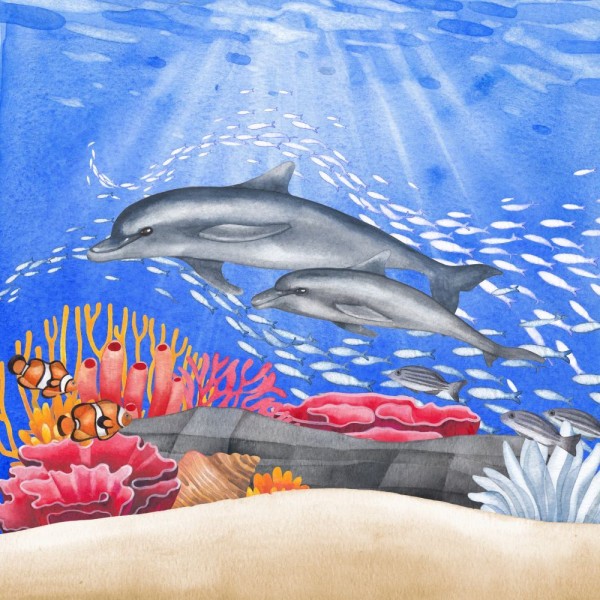 Delfino 5d Diy Kit Diamond Painting Pittura Di Diamante NO3985