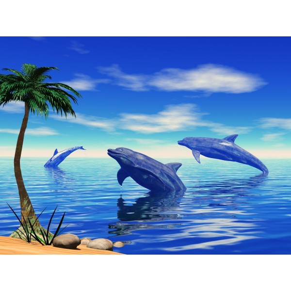 Delfino 5d Diy Kit Diamond Painting Pittura Di Diamante NO3983