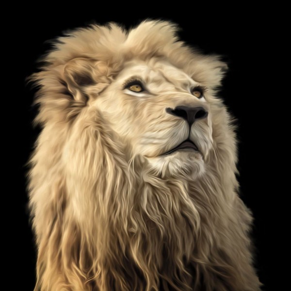 Leone 5d Diy Kit Diamond Painting Pittura Di Diamante NO3933