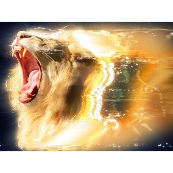 Leone 5d Diy Kit Diamond Painting Pittura Di Diamante NO3928