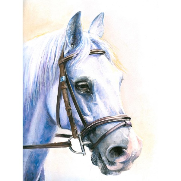 Cavallo 5d Diy Kit Diamond Painting Pittura Di Diamante NO3902