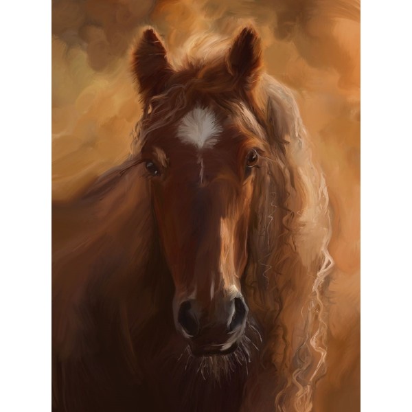 Cavallo 5d Diy Kit Diamond Painting Pittura Di Diamante NO3898