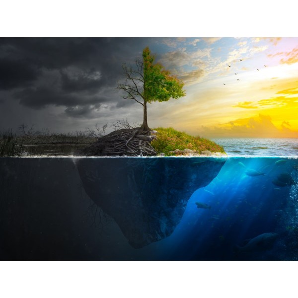 Albero 5d Diy Kit Diamond Painting Pittura Di Diamante NO3824