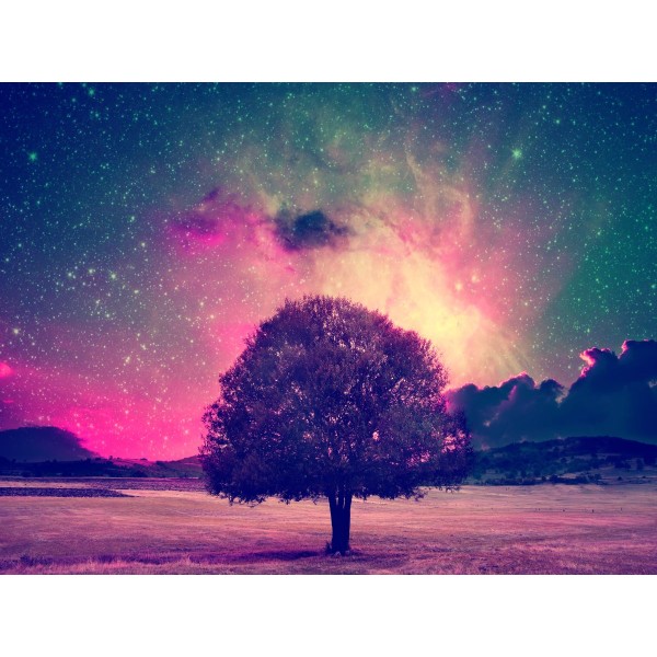 Albero 5d Diy Kit Diamond Painting Pittura Di Diamante NO3823