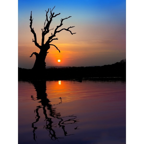 Albero 5d Diy Kit Diamond Painting Pittura Di Diamante NO3821