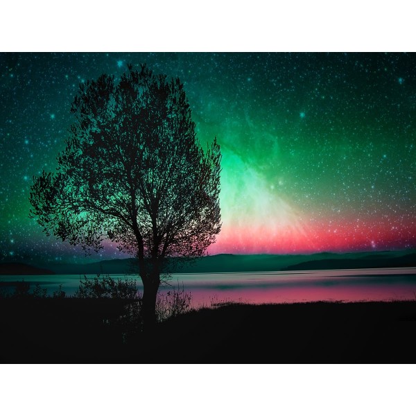 Albero 5d Diy Kit Diamond Painting Pittura Di Diamante NO3822