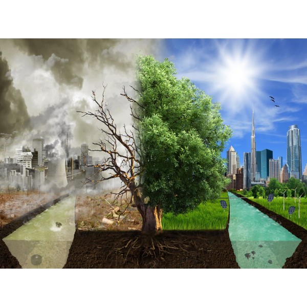 Albero 5d Diy Kit Diamond Painting Pittura Di Diamante NO3820