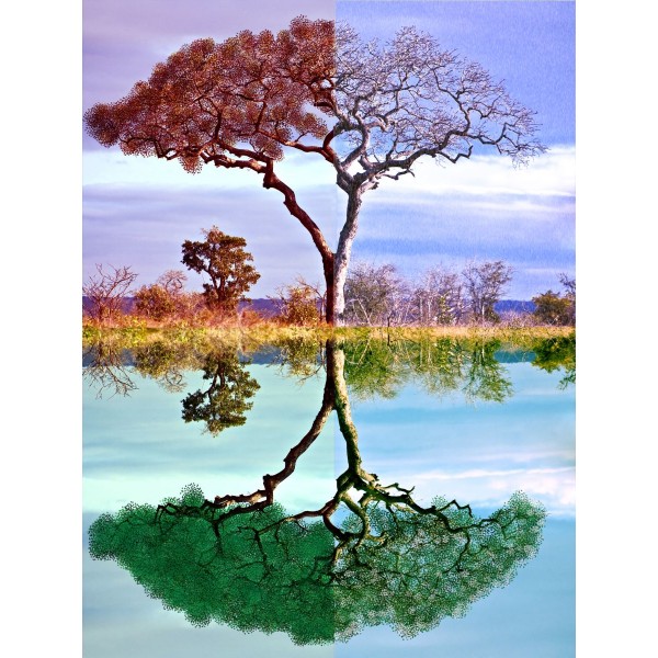 Albero 5d Diy Kit Diamond Painting Pittura Di Diamante NO3809