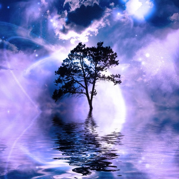 Albero 5d Diy Kit Diamond Painting Pittura Di Diamante NO3807