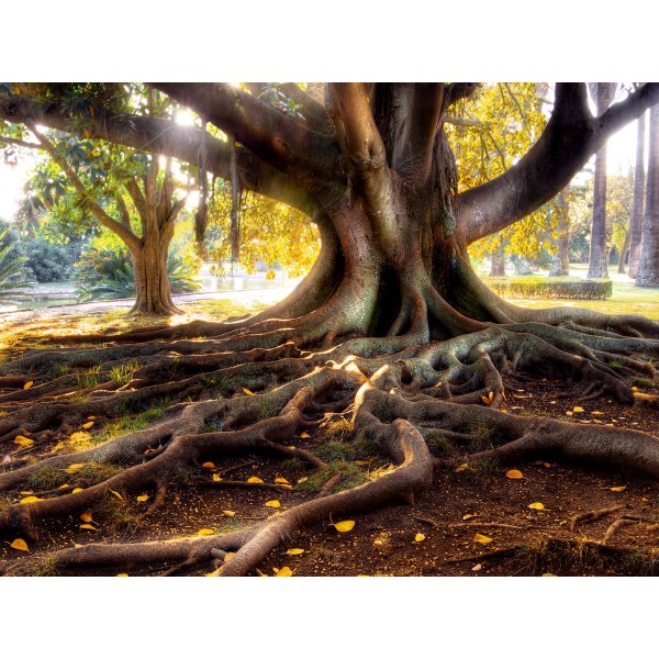 Albero 5d Diy Kit Diamond Painting Pittura Di Diamante NO3802