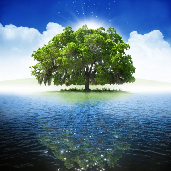 Albero 5d Diy Kit Diamond Painting Pittura Di Diamante NO3793