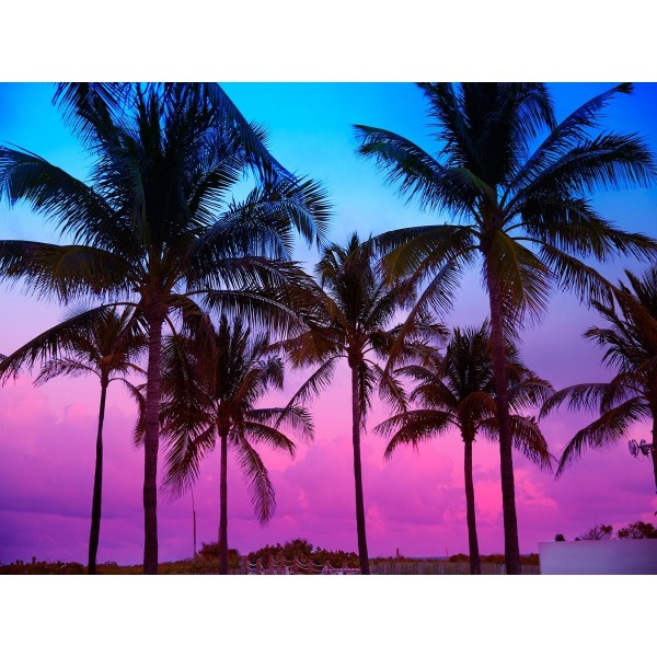 Albero 5d Diy Kit Diamond Painting Pittura Di Diamante NO3791