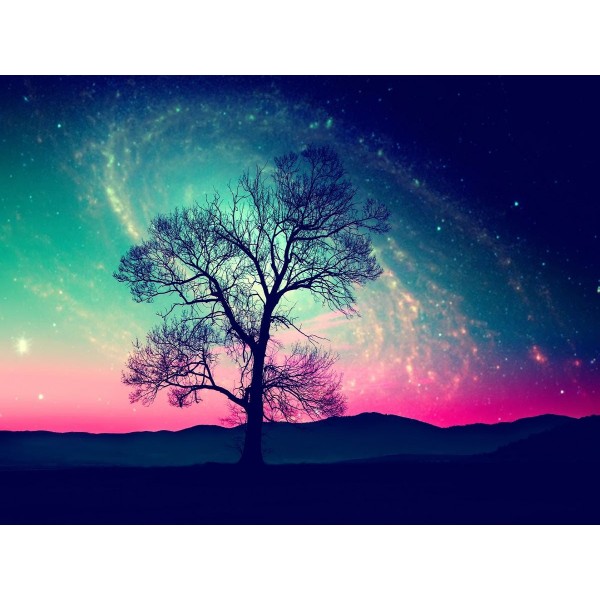 Albero 5d Diy Kit Diamond Painting Pittura Di Diamante NO3788