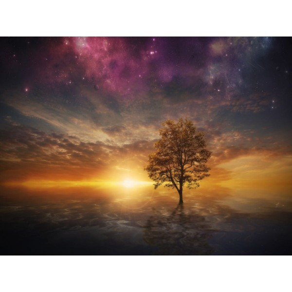 Albero 5d Diy Kit Diamond Painting Pittura Di Diamante NO3785