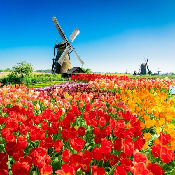 Mulino A Vento 5d Diy Kit Diamond Painting Pittura Di Diamante NO3730