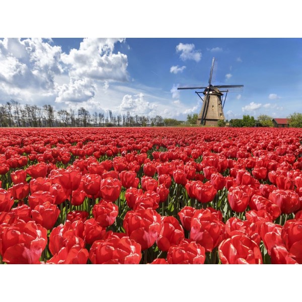 Mulino A Vento 5d Diy Kit Diamond Painting Pittura Di Diamante NO3723