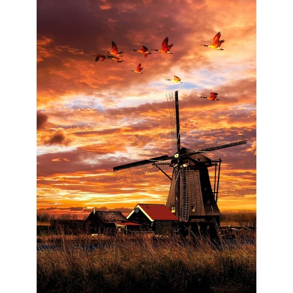 Mulino A Vento 5d Diy Kit Diamond Painting Pittura Di Diamante NO3722