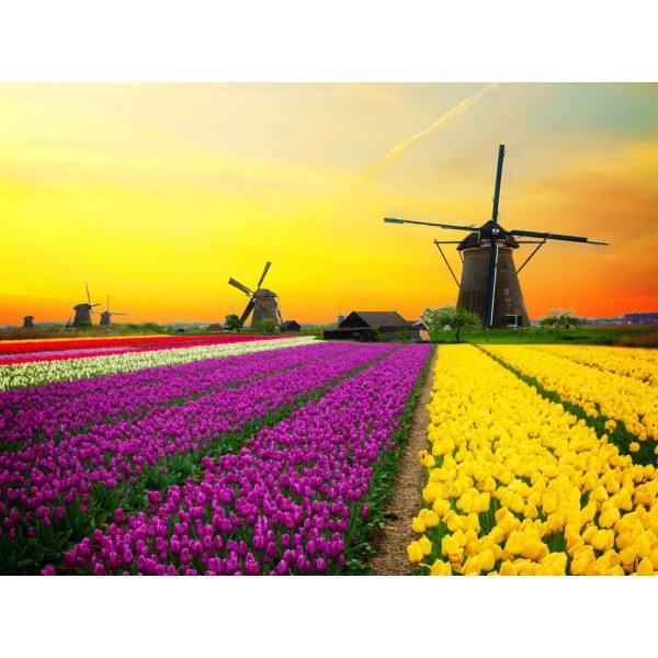 Mulino A Vento 5d Diy Kit Diamond Painting Pittura Di Diamante NO3720