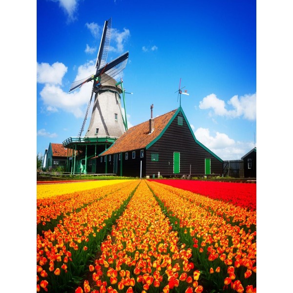 Mulino A Vento 5d Diy Kit Diamond Painting Pittura Di Diamante NO3719