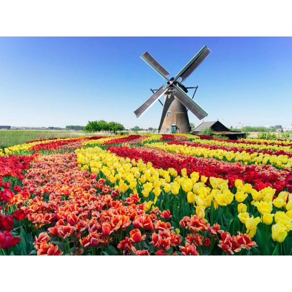 Mulino A Vento 5d Diy Kit Diamond Painting Pittura Di Diamante NO3716