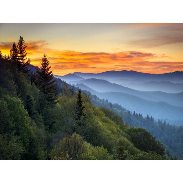 Natura 5d Diy Kit Diamond Painting Pittura Di Diamante NO3700