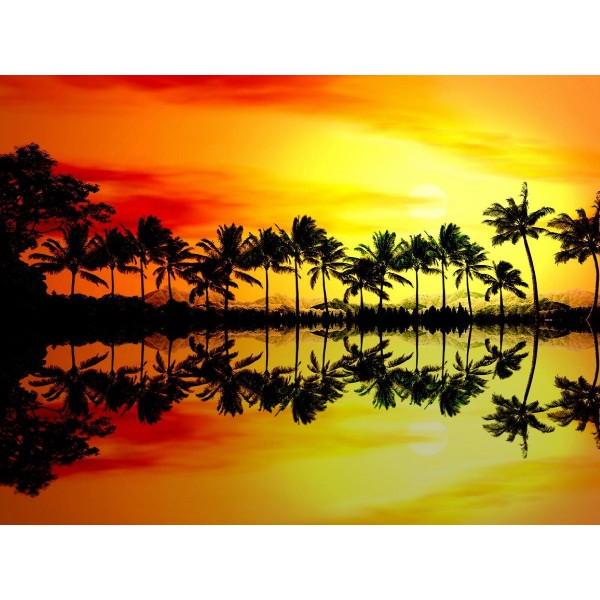 Natura 5d Diy Kit Diamond Painting Pittura Di Diamante NO3691