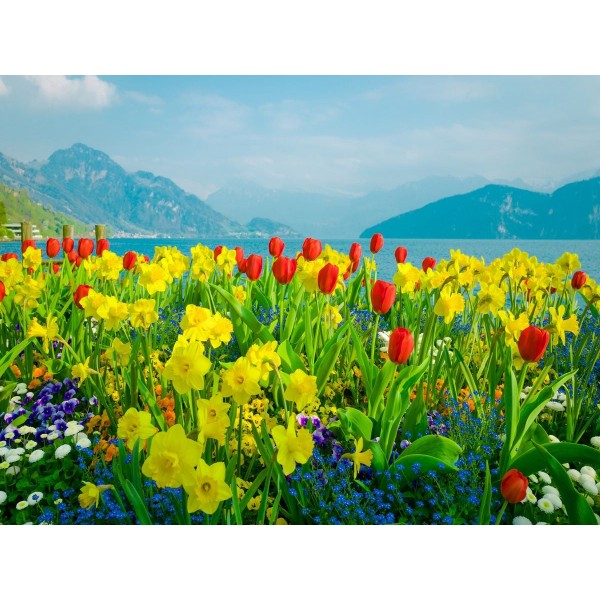 Natura 5d Diy Kit Diamond Painting Pittura Di Diamante NO3683