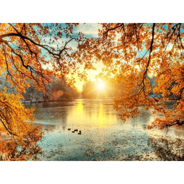 Natura 5d Diy Kit Diamond Painting Pittura Di Diamante NO3682