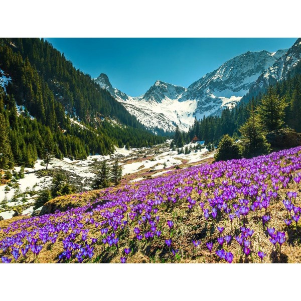 Natura 5d Diy Kit Diamond Painting Pittura Di Diamante NO3681