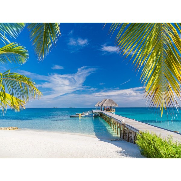 Natura 5d Diy Kit Diamond Painting Pittura Di Diamante NO3678