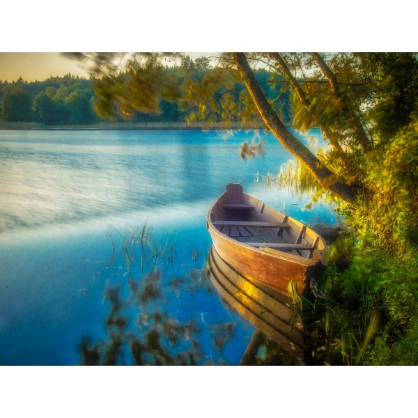 Natura 5d Diy Kit Diamond Painting Pittura Di Diamante NO3677