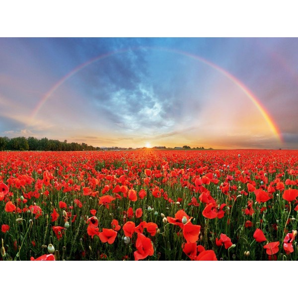 Natura 5d Diy Kit Diamond Painting Pittura Di Diamante NO3675