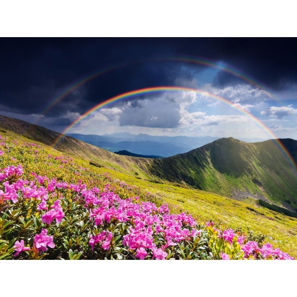 Natura 5d Diy Kit Diamond Painting Pittura Di Diamante NO3674