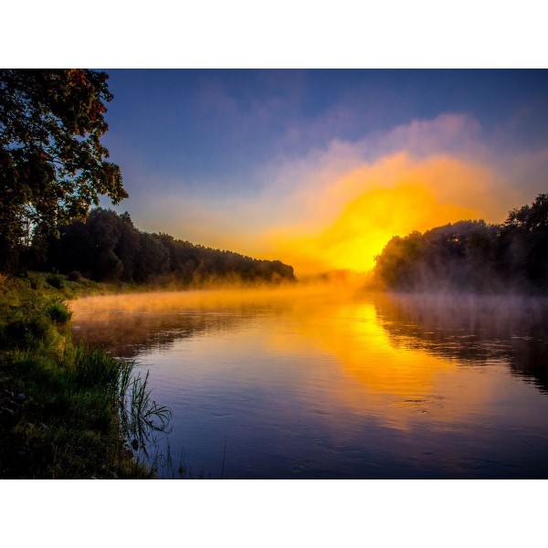 Natura 5d Diy Kit Diamond Painting Pittura Di Diamante NO3673