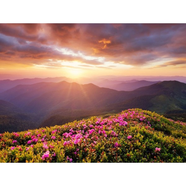 Natura 5d Diy Kit Diamond Painting Pittura Di Diamante NO3672