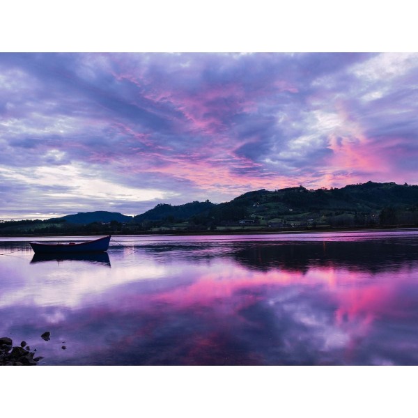 Natura 5d Diy Kit Diamond Painting Pittura Di Diamante NO3671