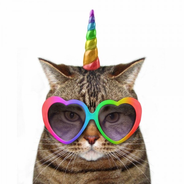 Gatto 5d Diy Kit Diamond Painting Pittura Di Diamante NO3653