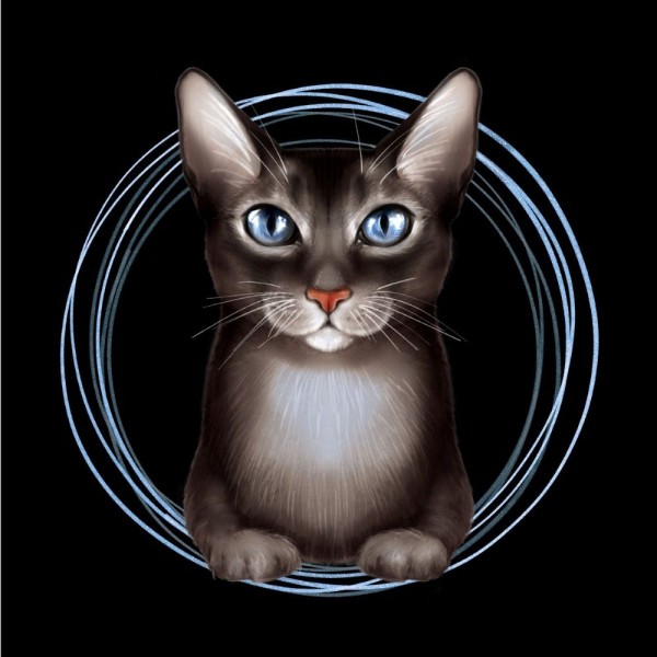 Gatto 5d Diy Kit Diamond Painting Pittura Di Diamante NO3647